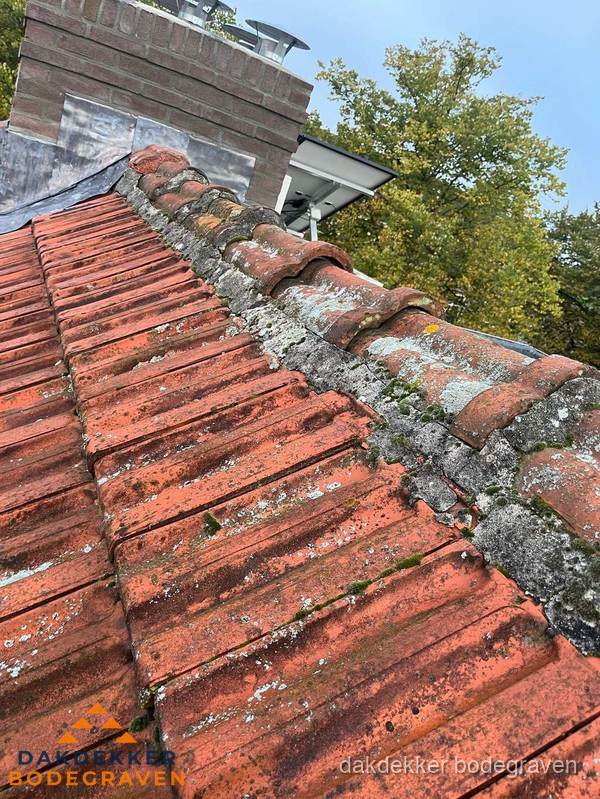 Verweerd hellend dak met mosgroei op nokvorst in Bodegraven Verweerd hellend dak met mosgroei op nokvorst in Bodegraven